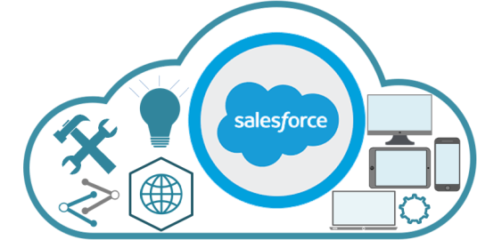 Salesorce Cloud Platform Services 